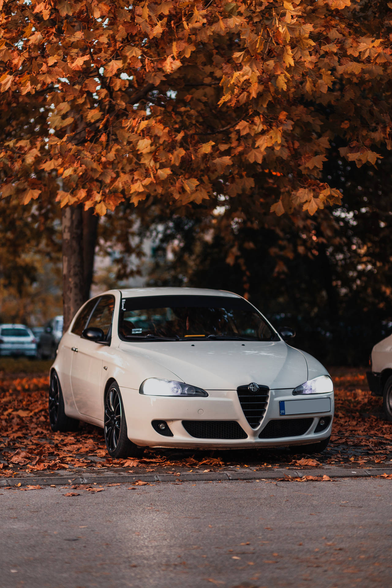 Enjoying Autumn With An Alfa Romeo 147 Background