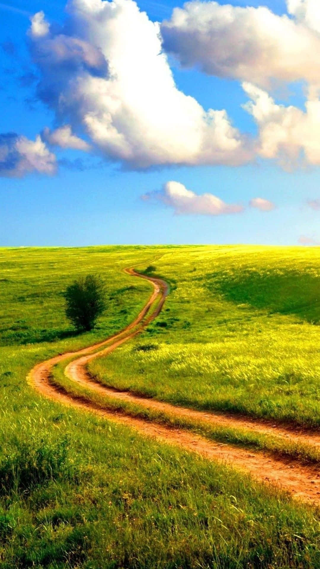 Enjoying Nature On A Beautiful Android Morning Background