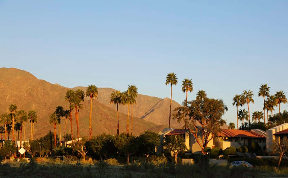 “enjoying Summer In Southern California” Background