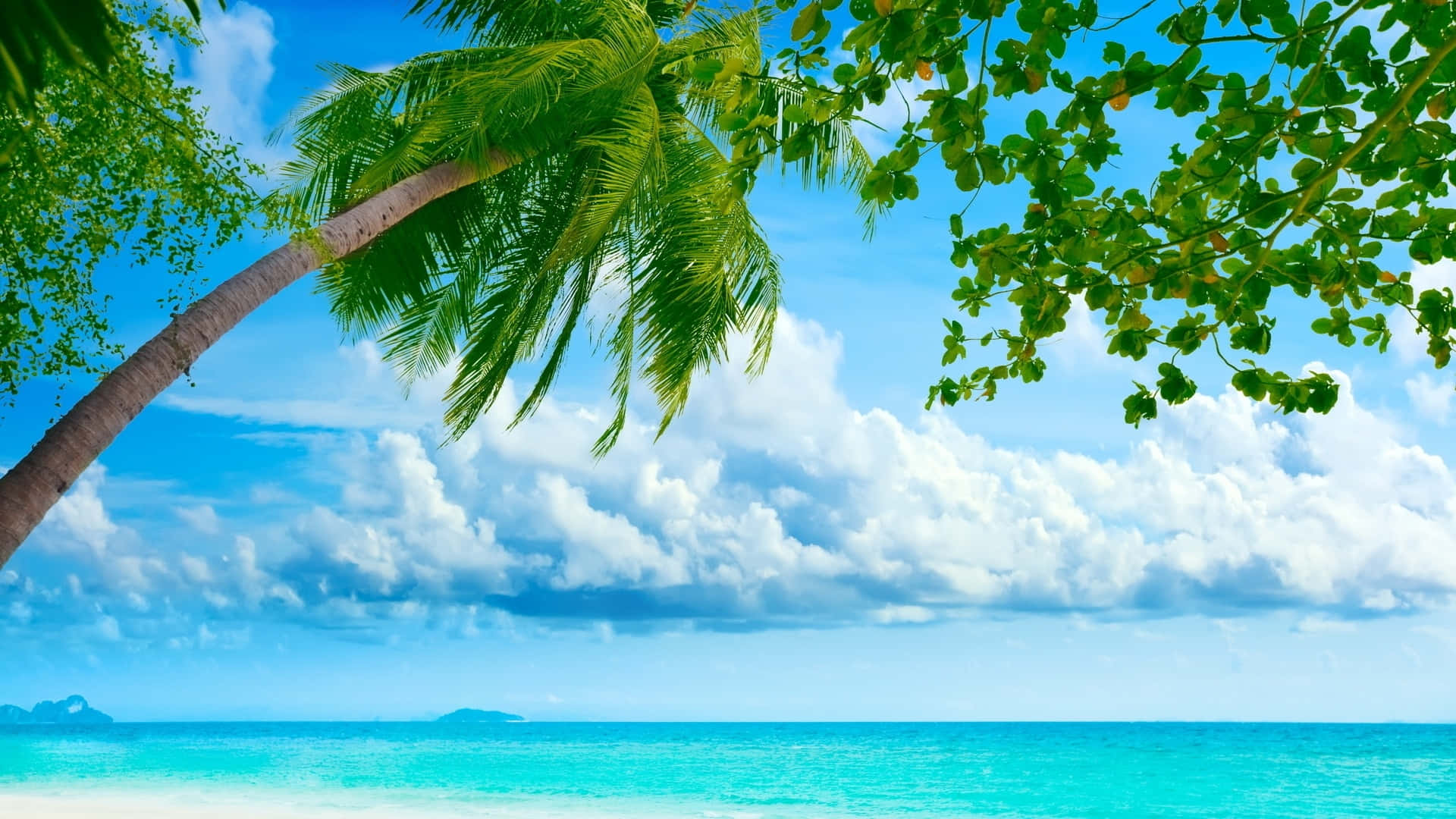 Enjoying Summertime By The Beach Background