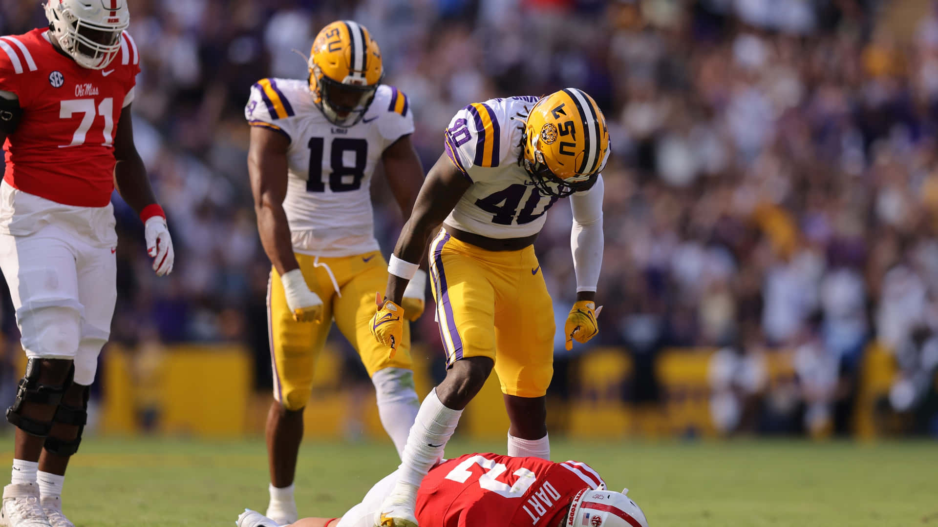 Enjoying The Achievements Of A Great Season Of Lsu Football Background