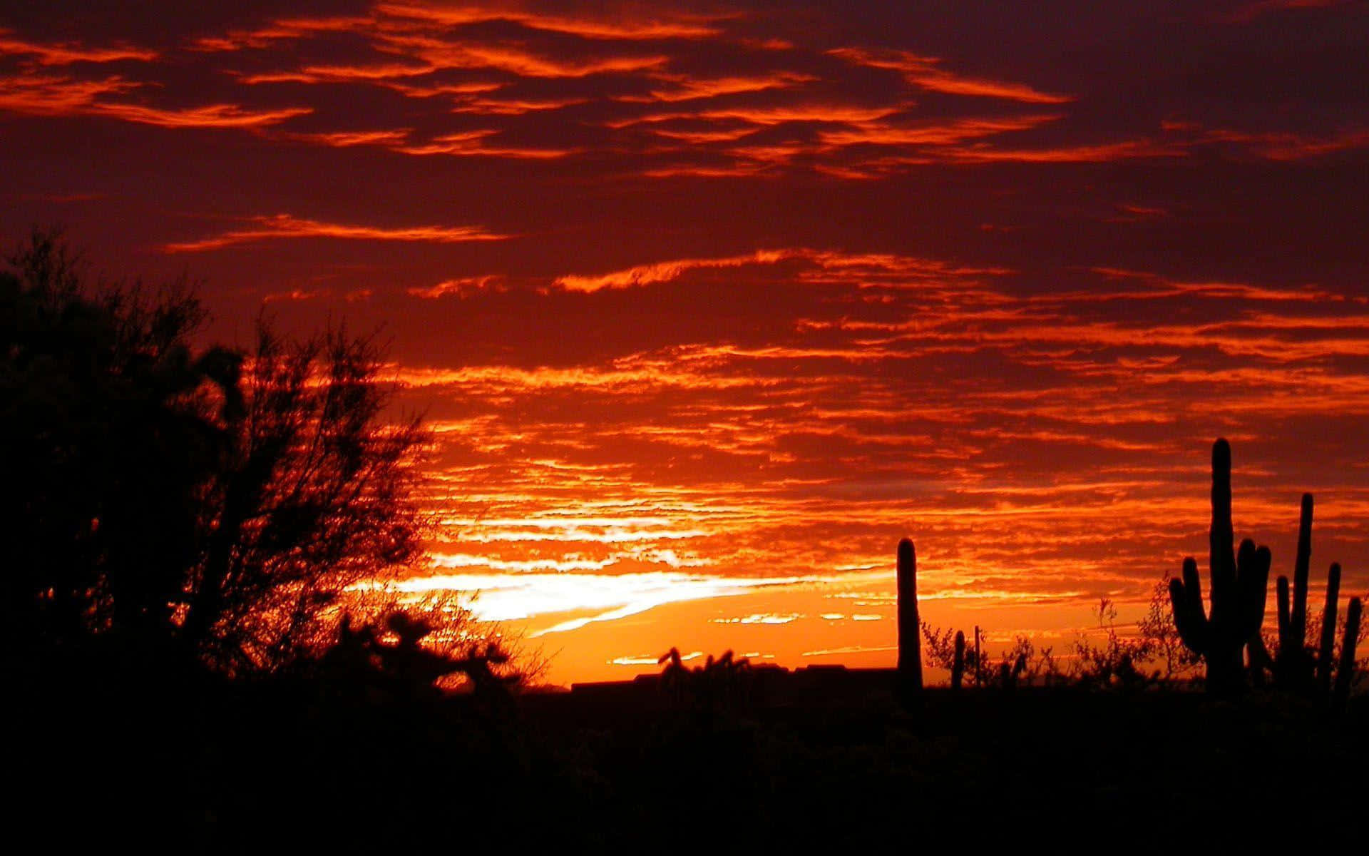 Enjoying The Beautiful Views Of Phoenix, Arizona Background