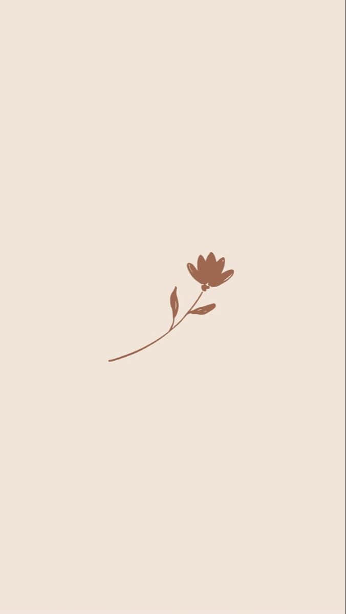 Enjoying The Beauty Of Minimalist Autumn Background