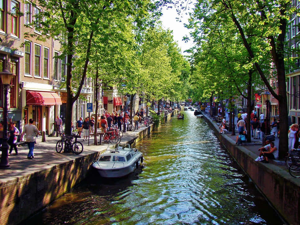 “enjoying The Blooming Beauty Of Amsterdam During Spring” Background