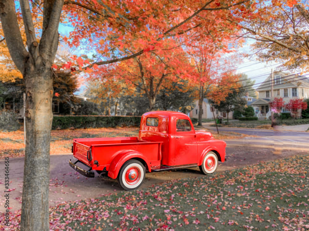 Enjoying The Colors Of Autumn Background