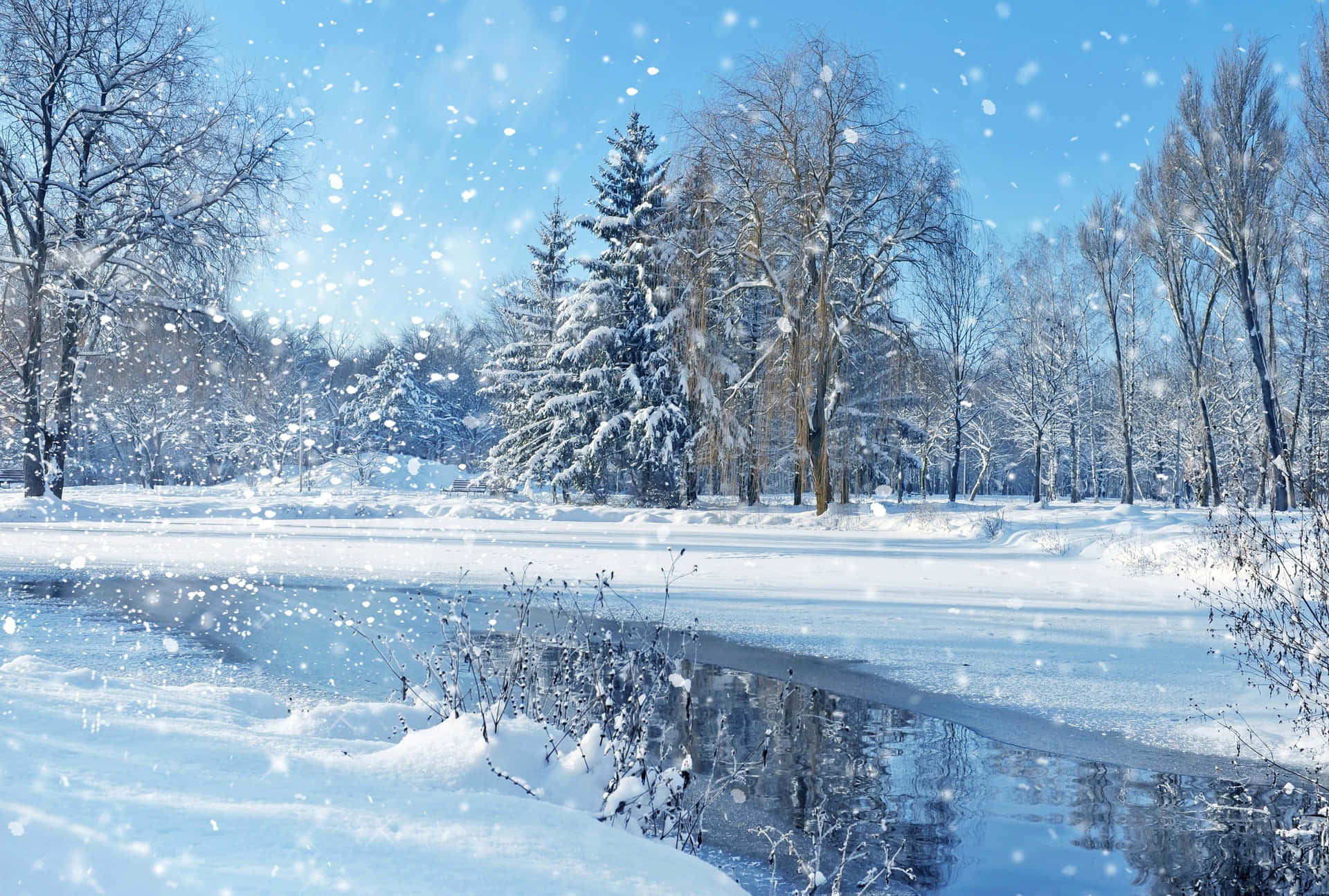 Enjoying The Crisp Winter Air Background