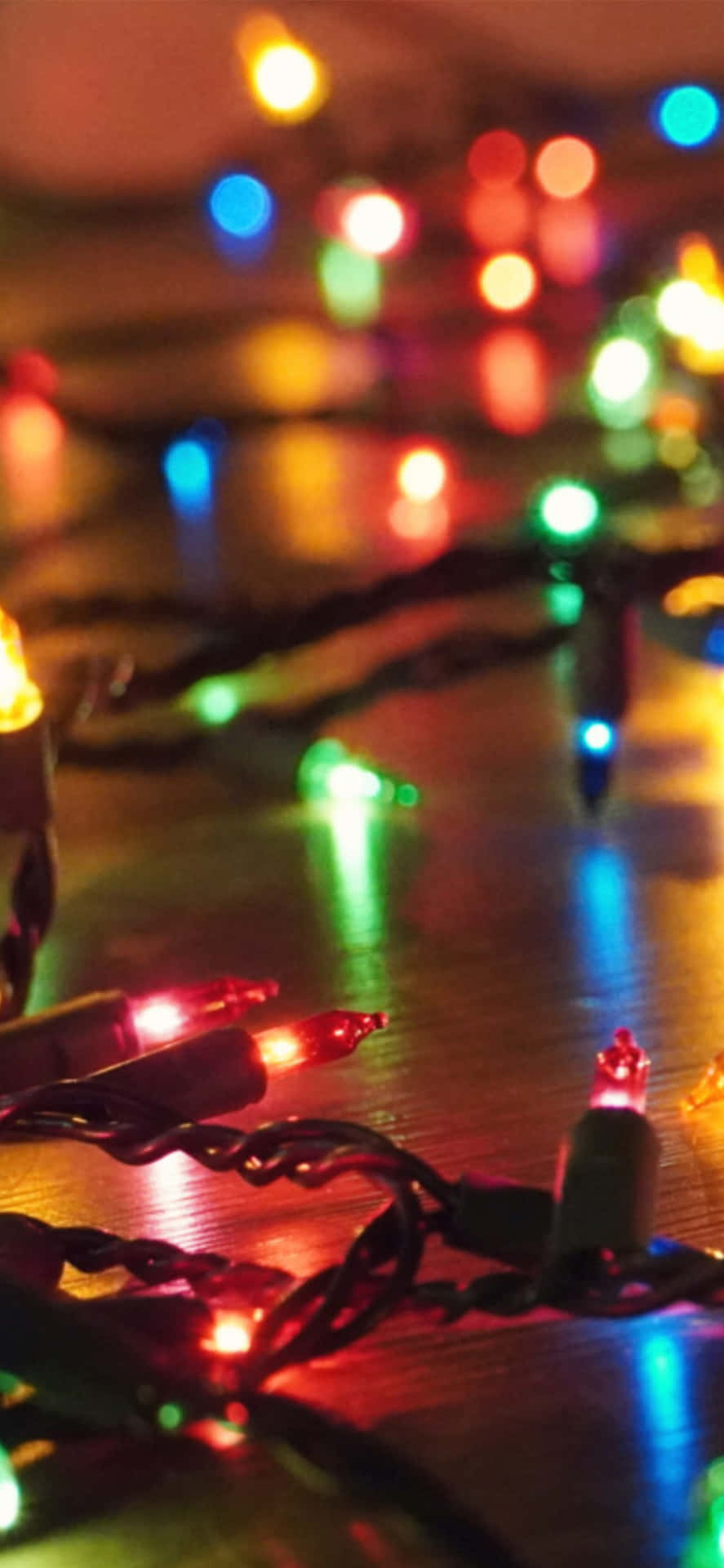 Enjoying The Festive Lights Background