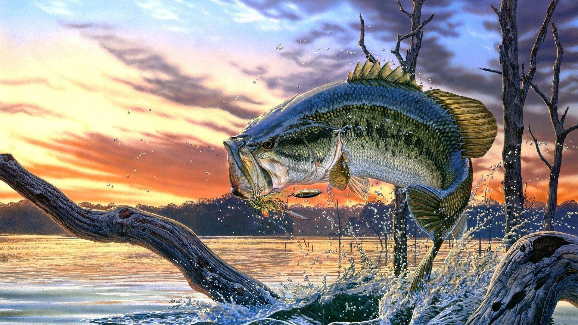 Enjoying The Morning Light, A Largemouth Bass Swims Through Its Lake Habitat Background