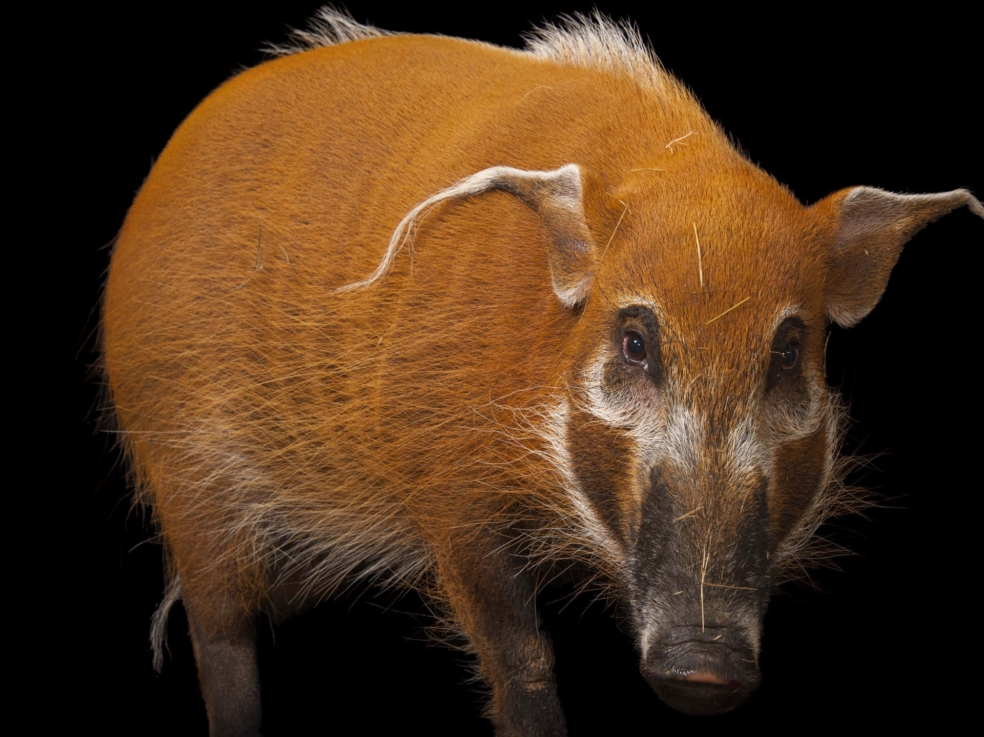 Enjoying The Open Road