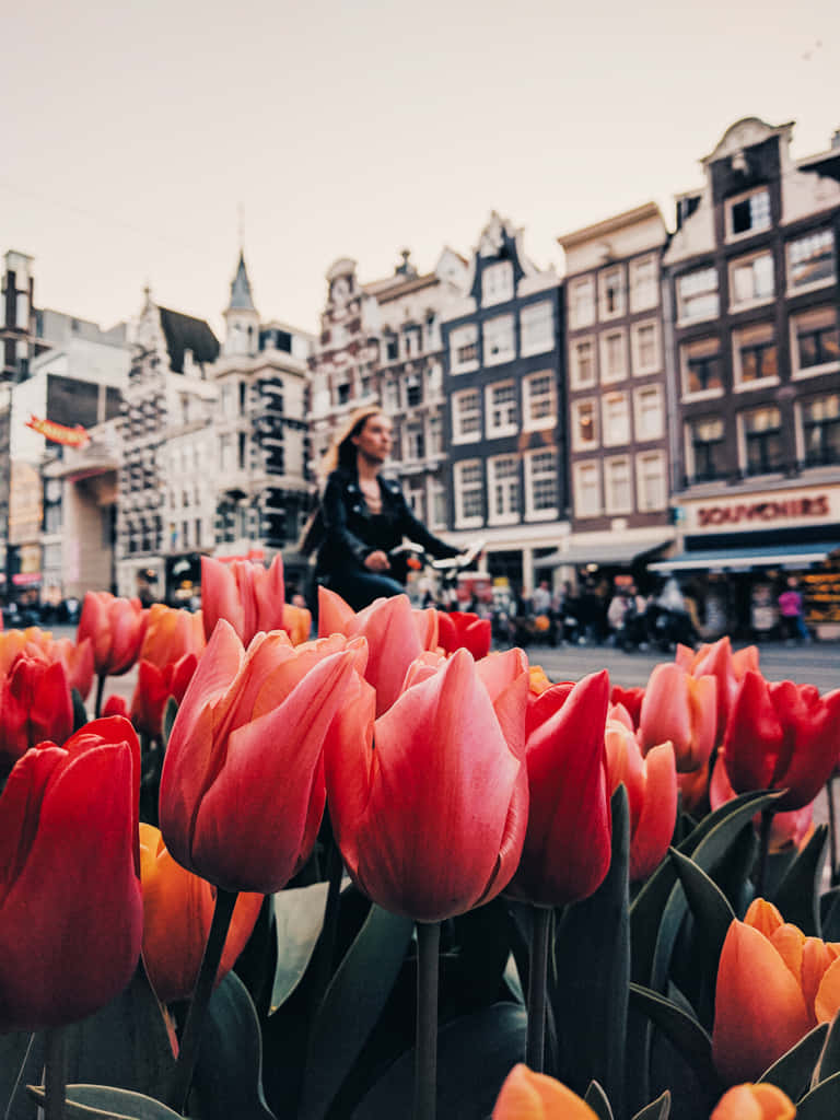 Enjoying The Sunshine During The Beautiful Spring In Amsterdam Background