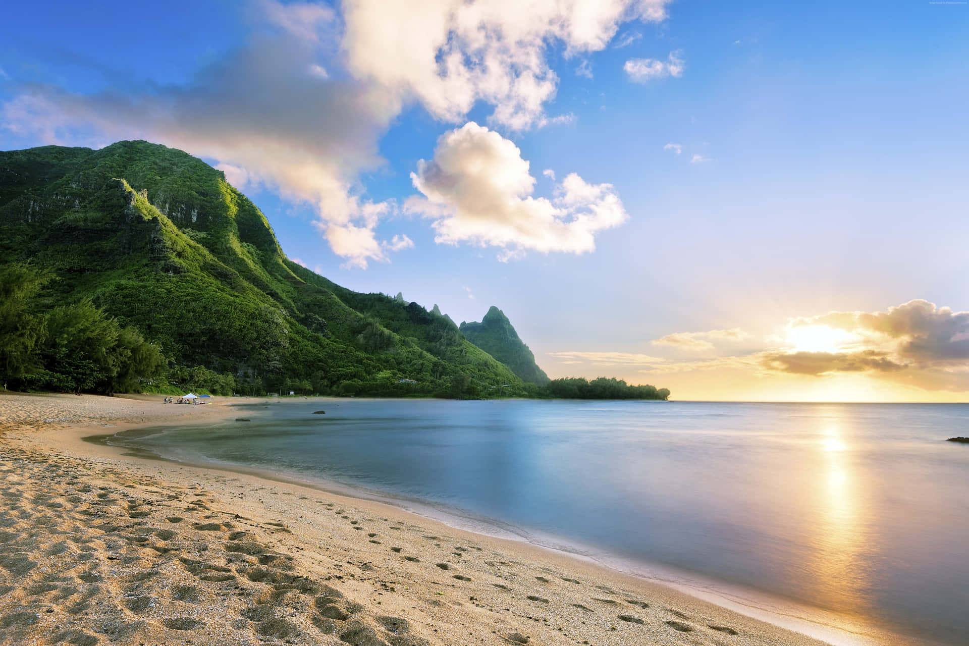 Enjoying The View At A Hawaii Beach