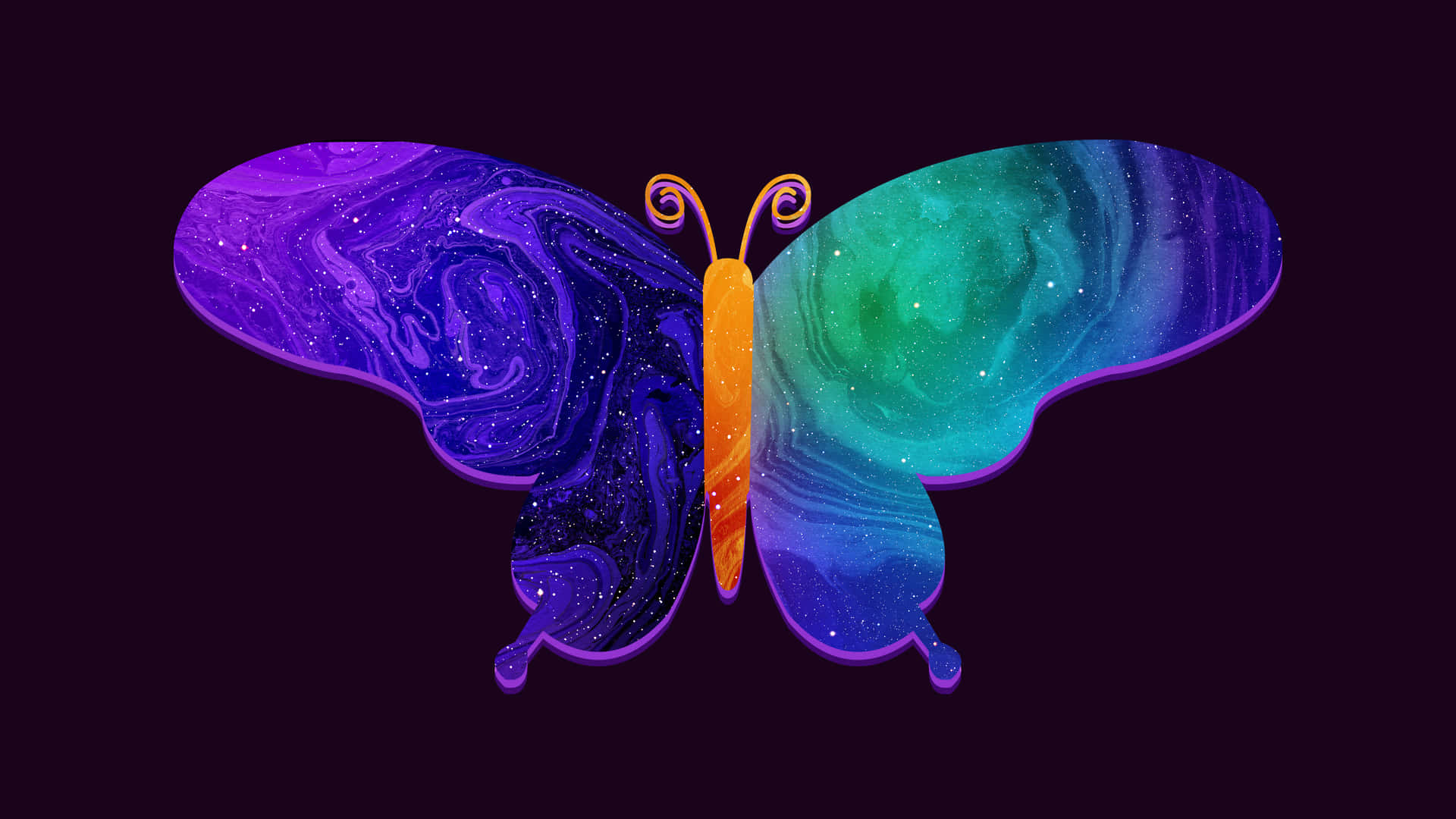 Enjoying The View From A Butterfly Laptop Background