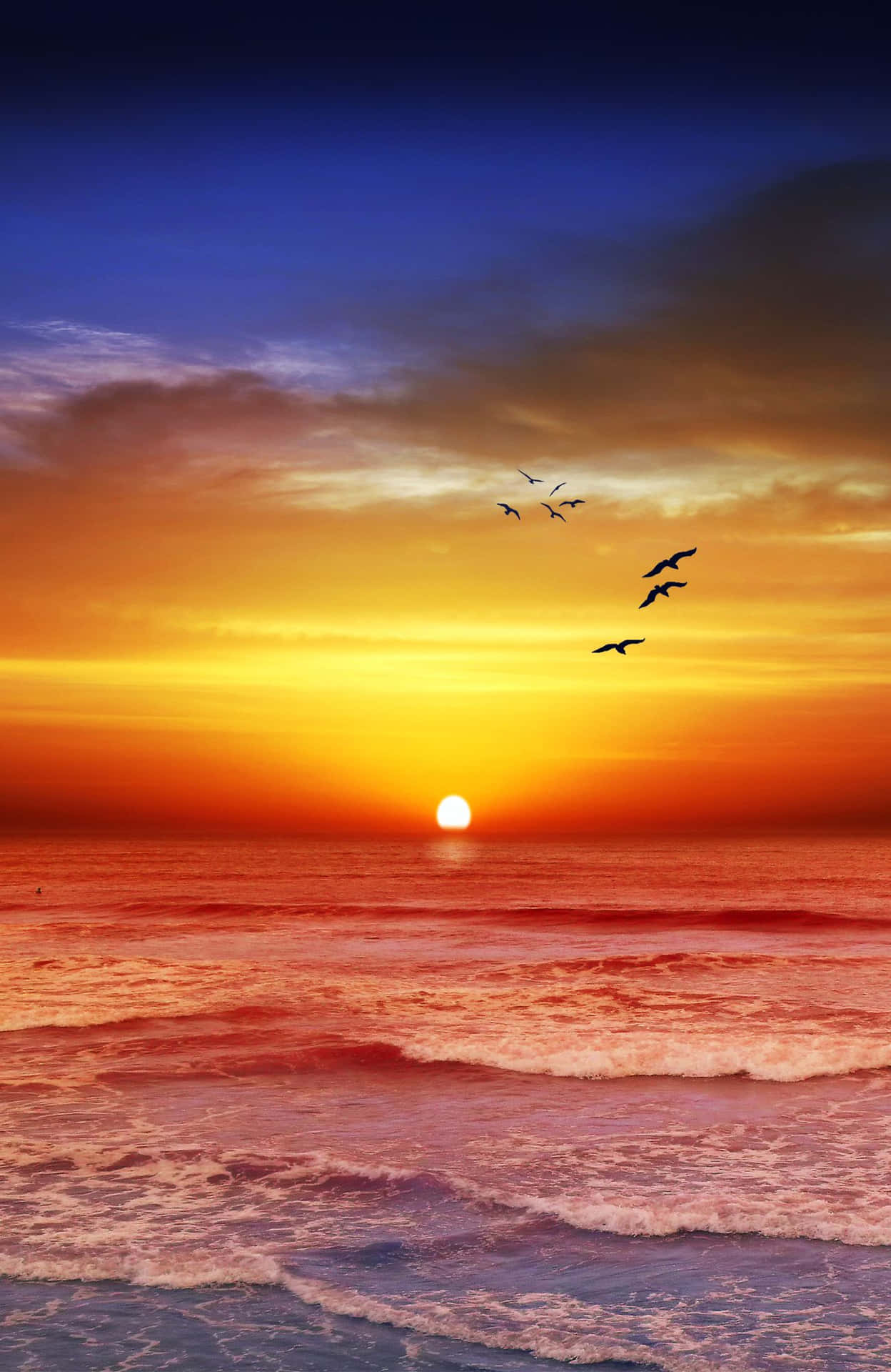 Enjoying The Warmth Of Beautiful Sunshine Background
