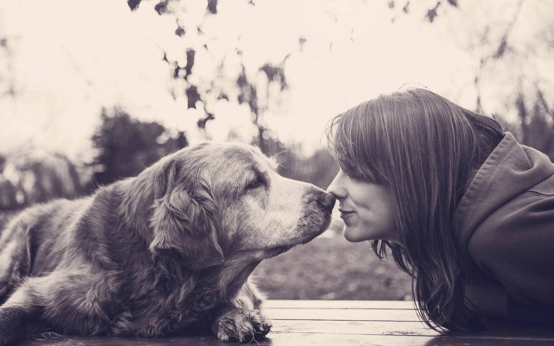 Enjoying Together Dog And Girl Background