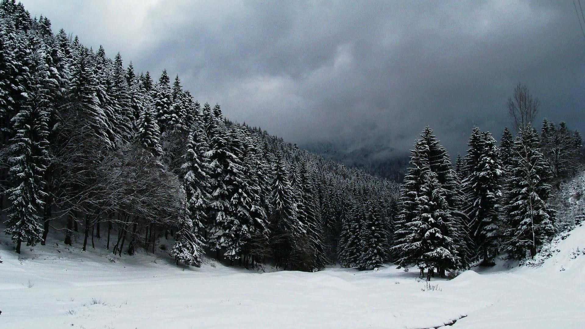 Enjoying Winter With A Cup Of Coffee And A Laptop Background