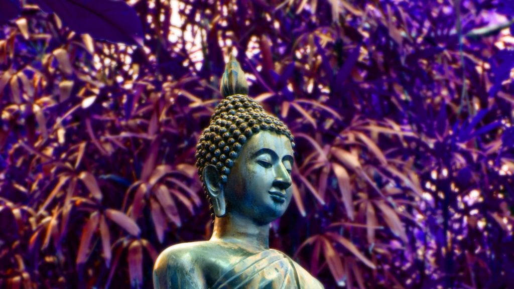 Enlightened Serenity: A Majestic Hd Image Of Buddha Background