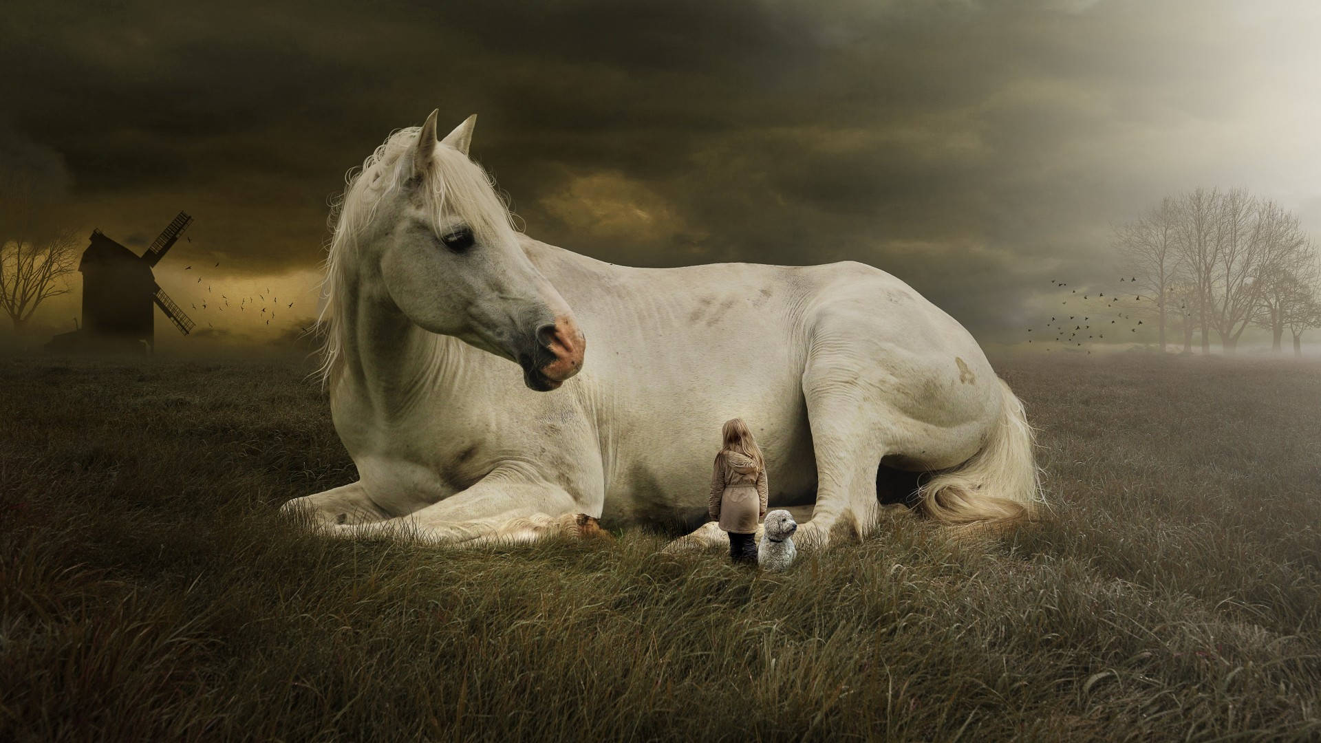 Enormous White Horse In Field Background
