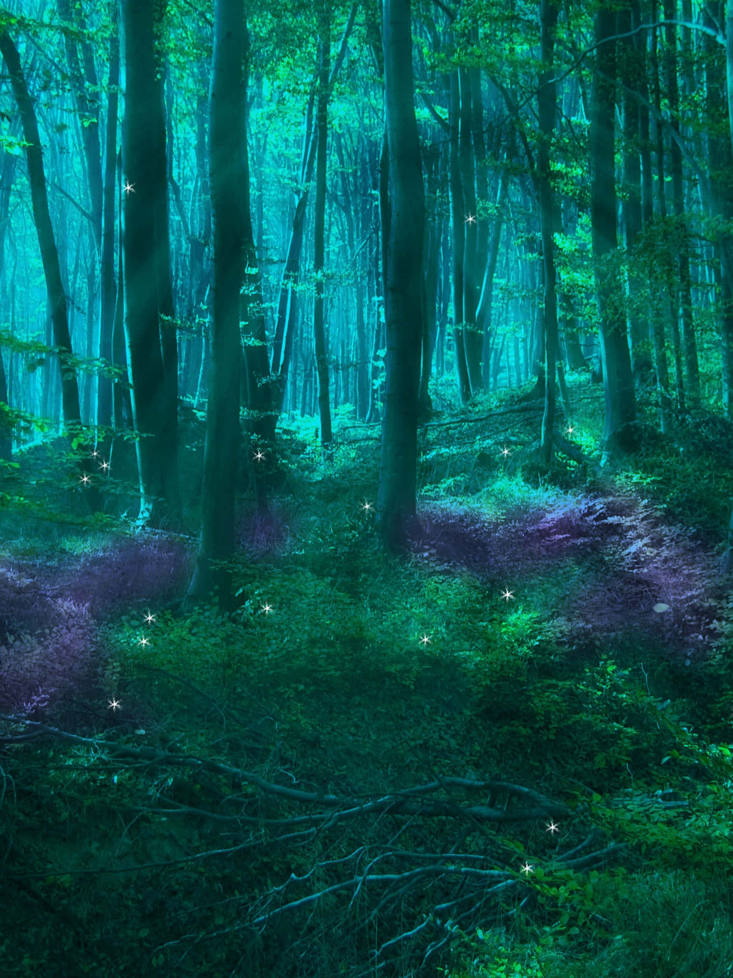 Enter The Magical Fairy Forest