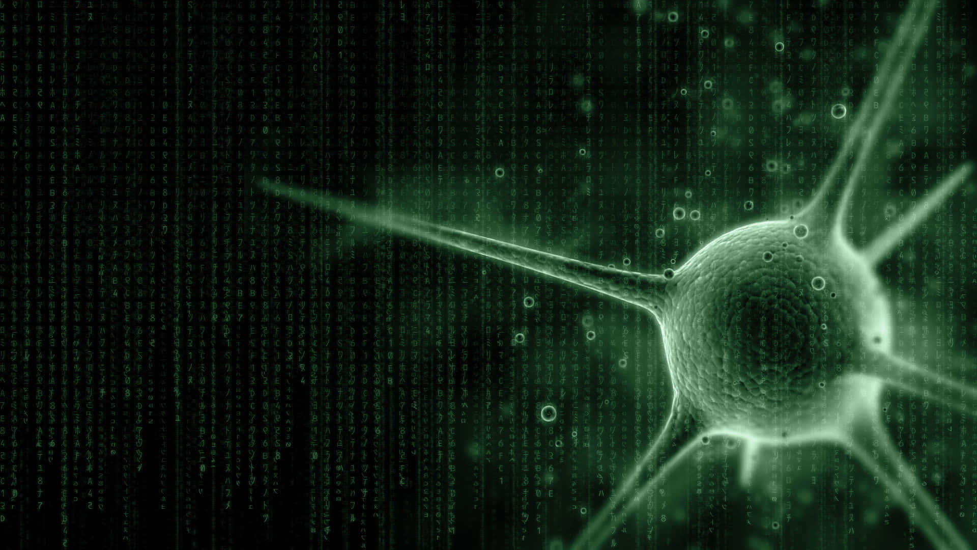 Enter The Matrix Code Background
