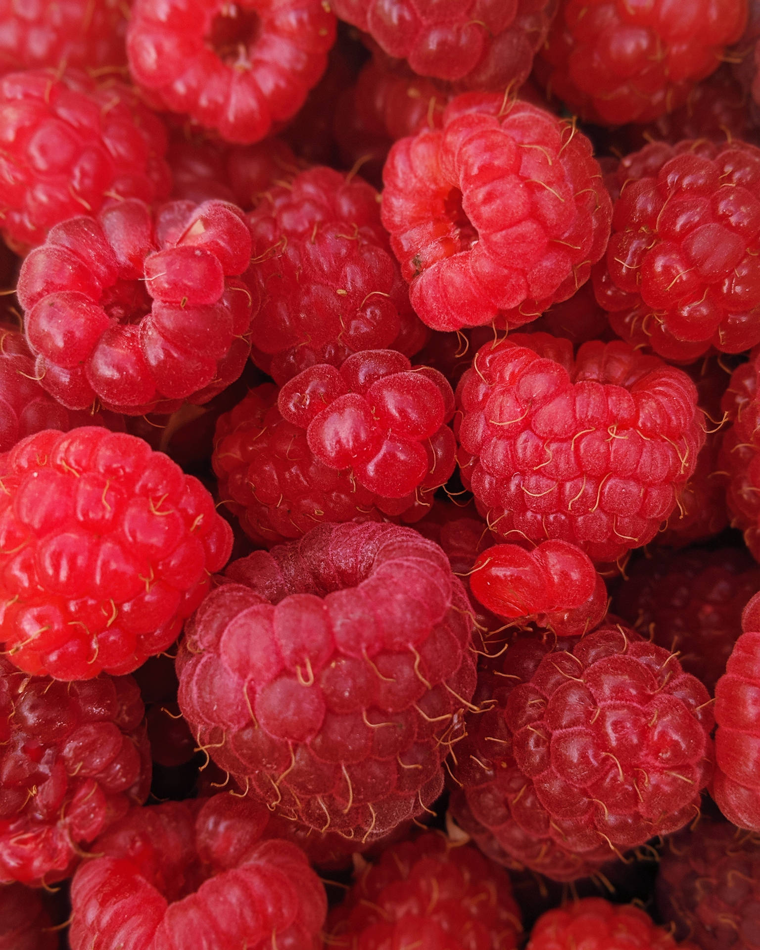 Enticing Raspberry Fruit