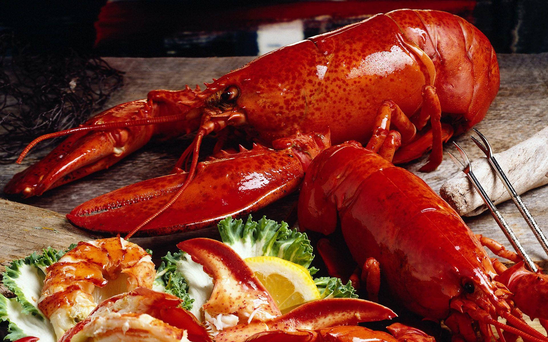 Enticingly Cooked Red Orange Lobster Background