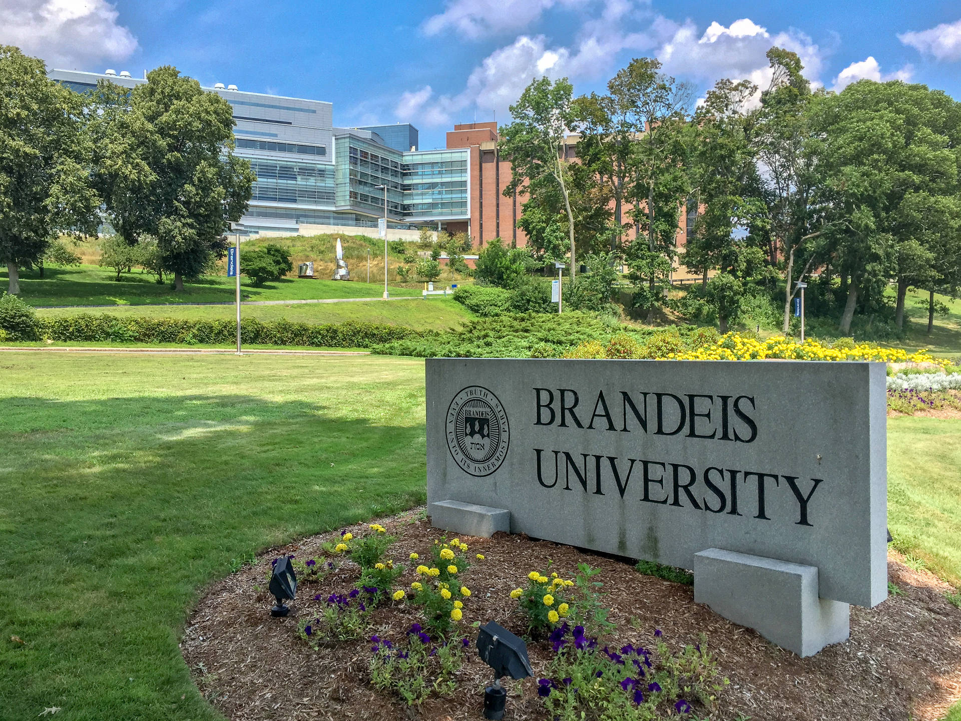 Entrance Sign At Brandeis University Background