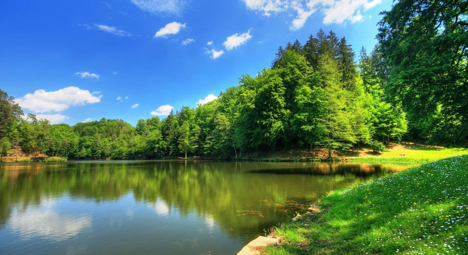 Environment Calming Riverbank Background