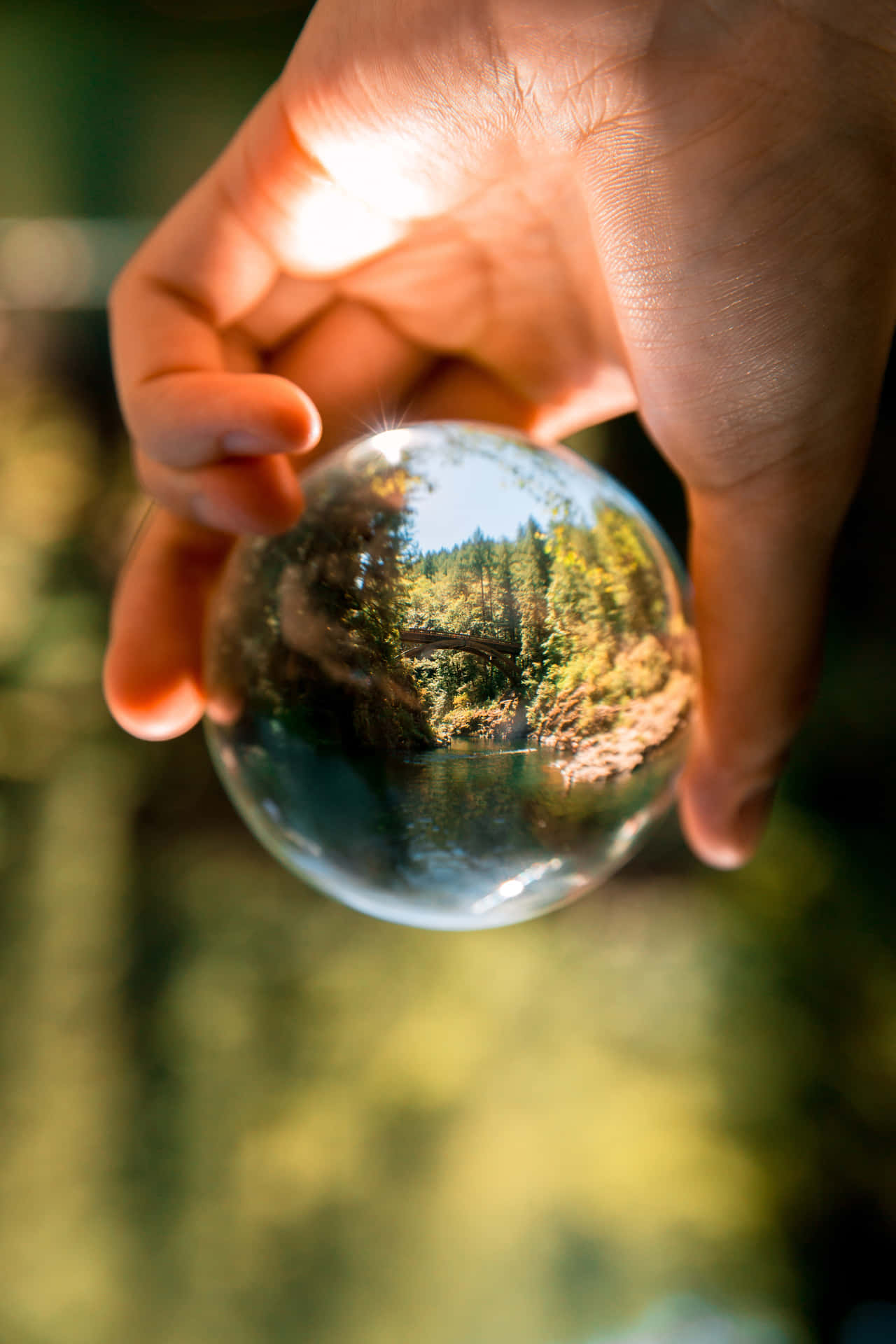 Environment Glass Ball Mirror Nature Background