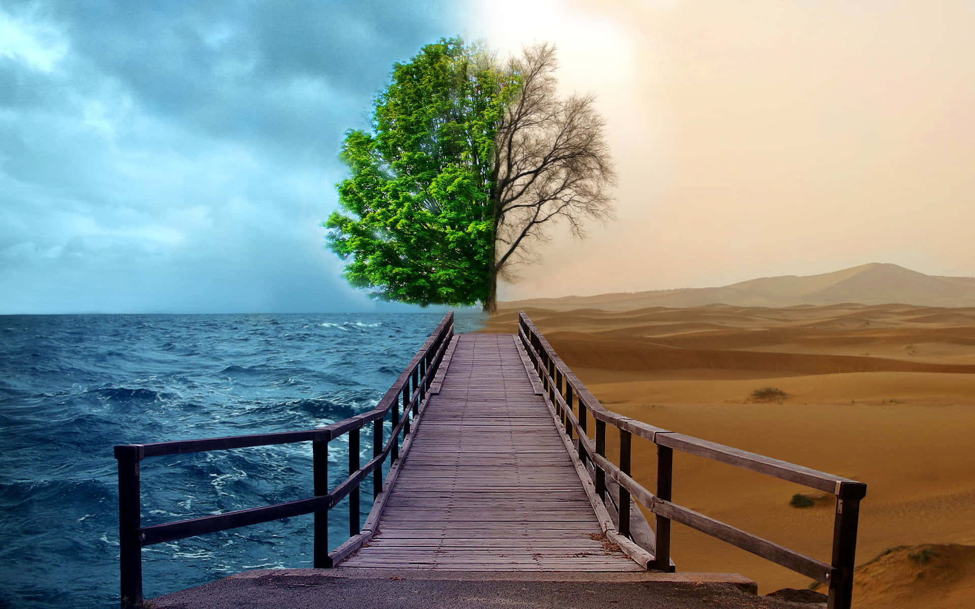 Environment Two Sides Sea And Desert