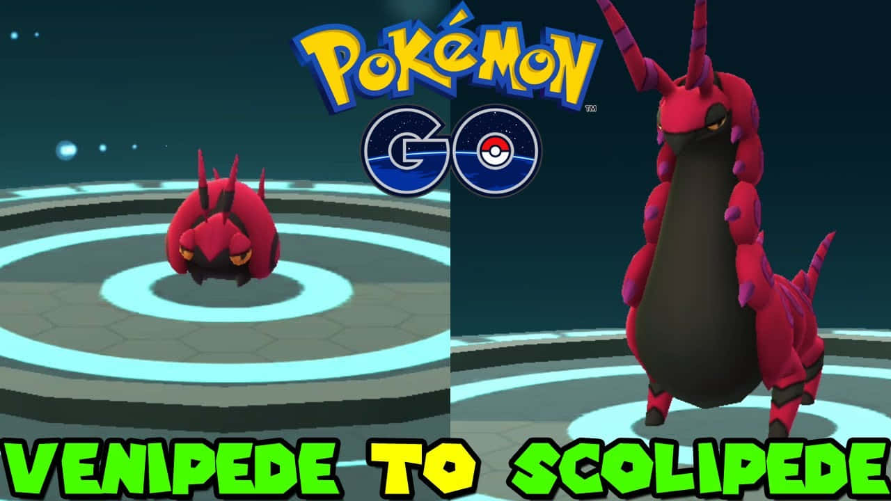 Epic Evolution From Venipede To Scolipede Background