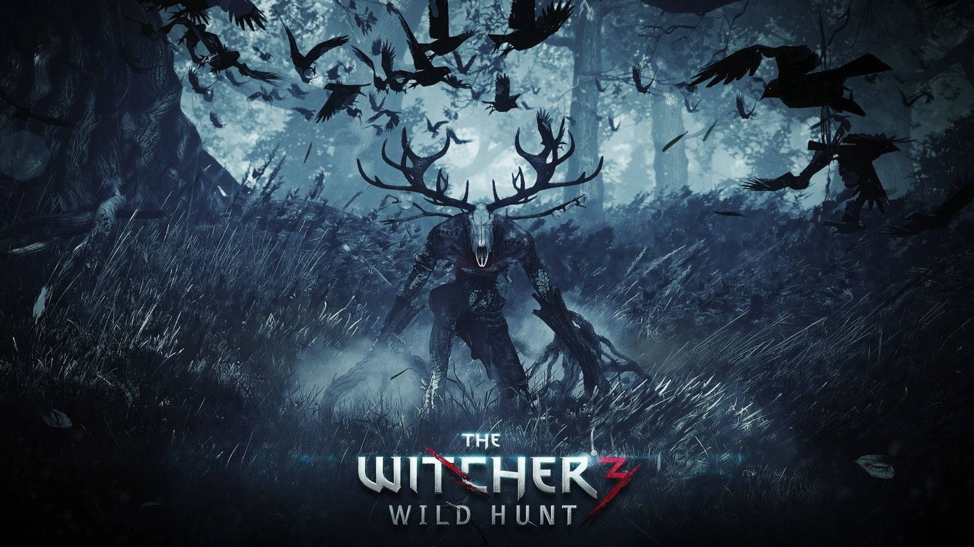 Epic Witcher 3 Poster Background