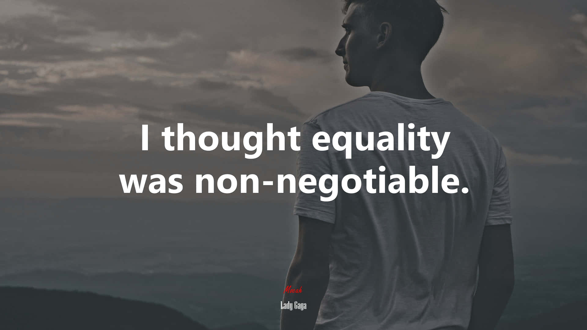 Equality Was Not Negotiable Background