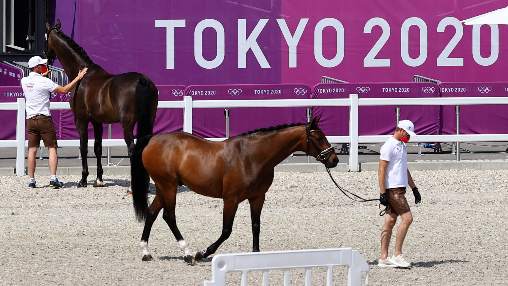 Equestrian Dressage Horse Inspection Tokyo 2020 Olympics Background