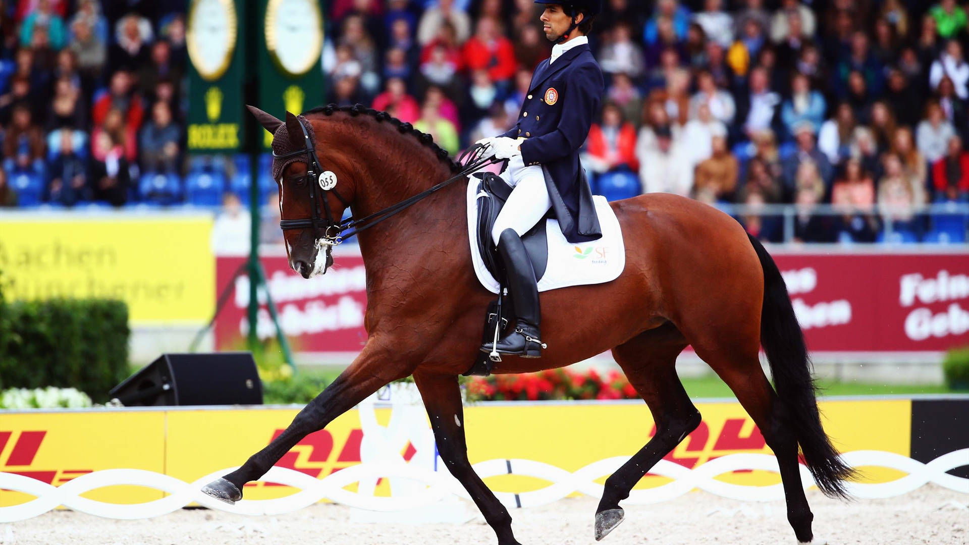 Equestrian Goncalo Carvalho Horseback Riding Tokyo 2020