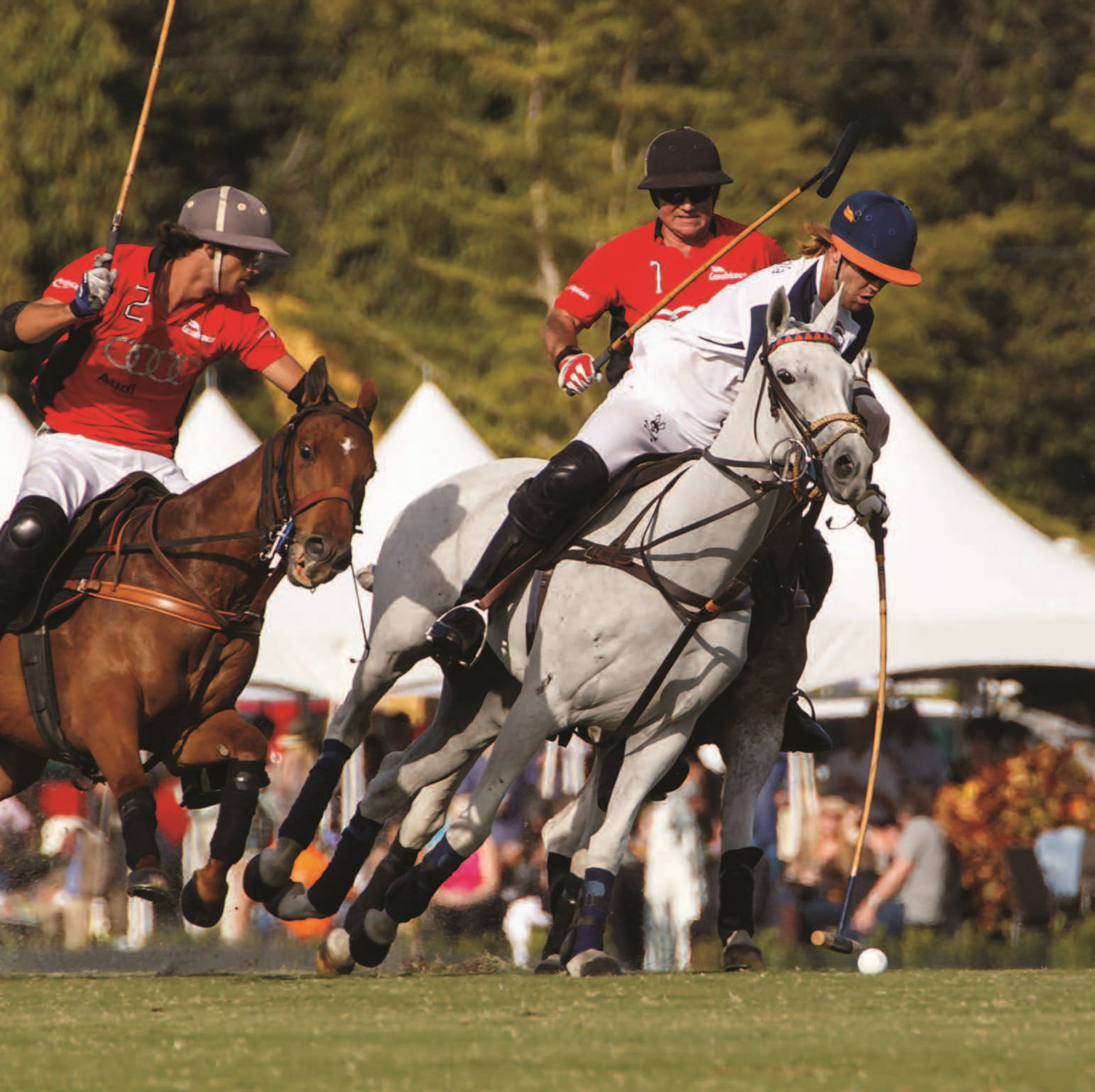 Equestrian Match International Polo Club