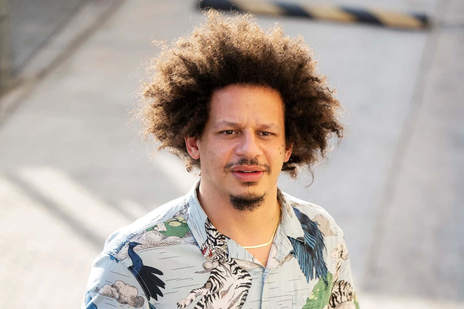 Eric Andre Casual Outdoor Portrait