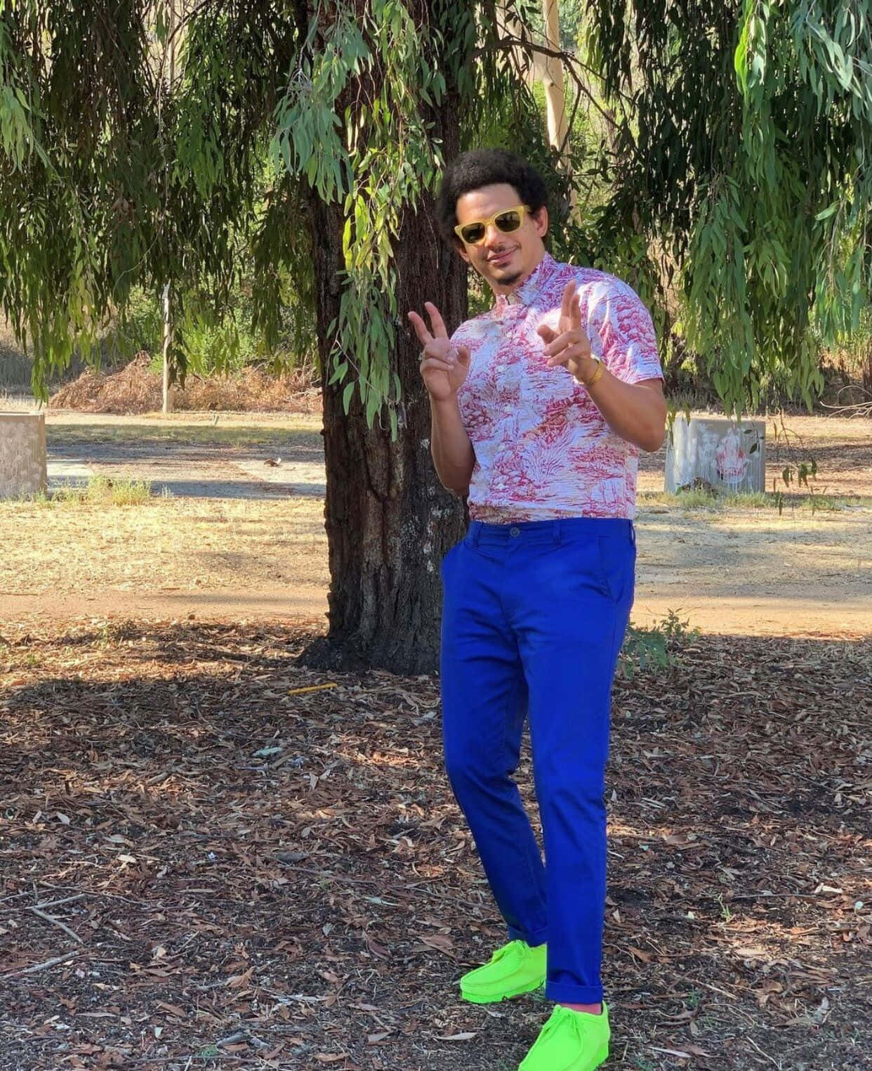 Eric Andre_ Peace Sign Outdoors Background