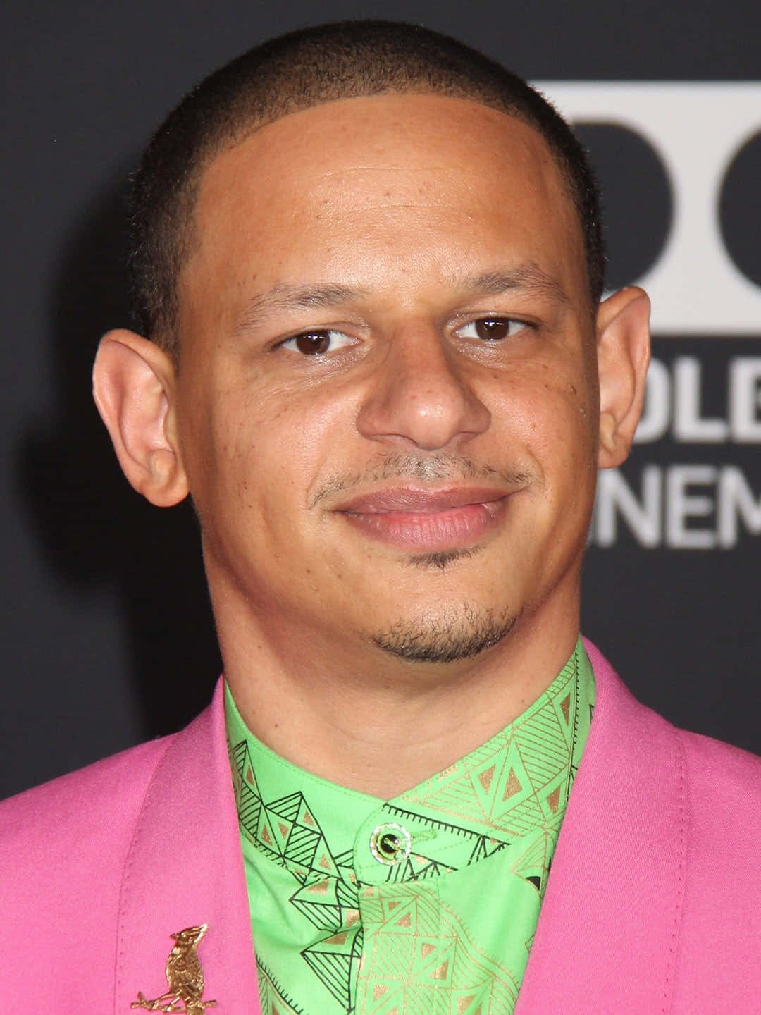 Eric Andre Pink Blazer