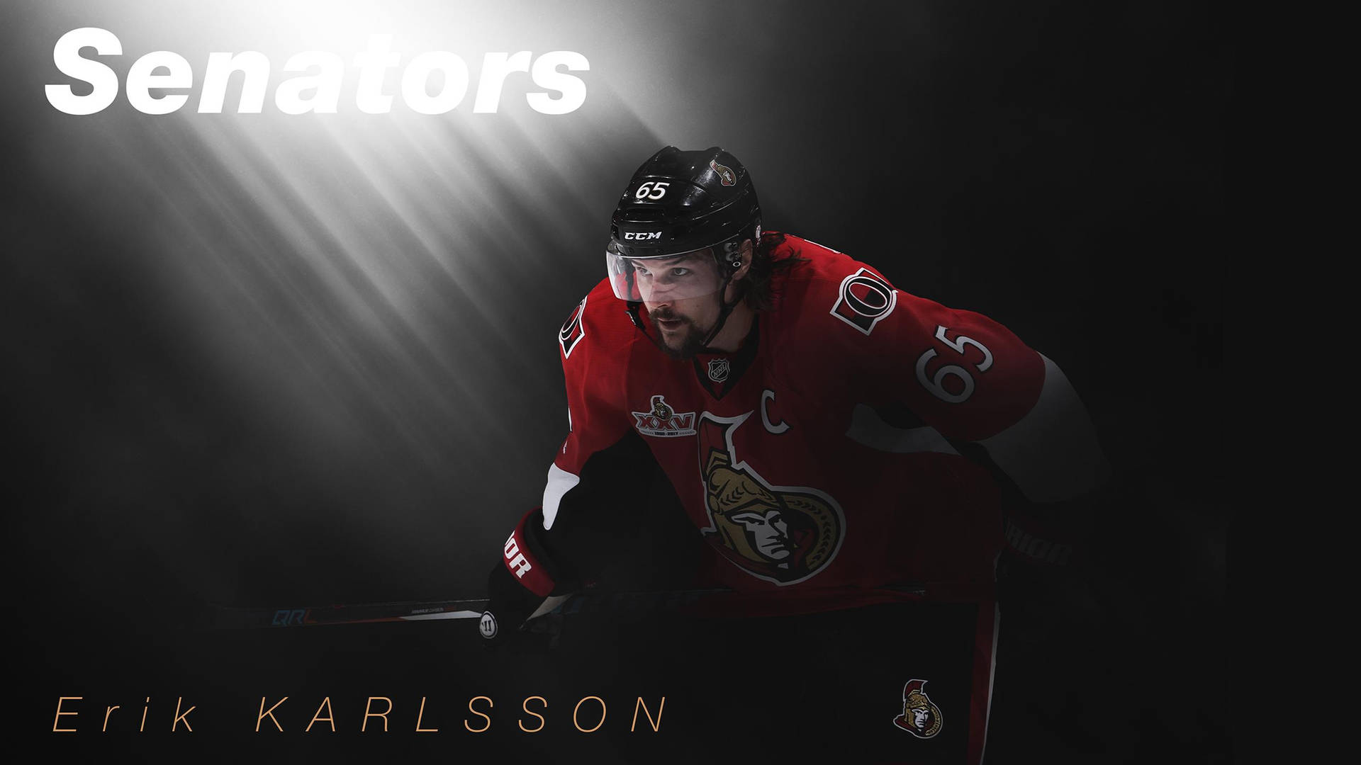 Erik Karlsson Graphic Art Poster Photo Background