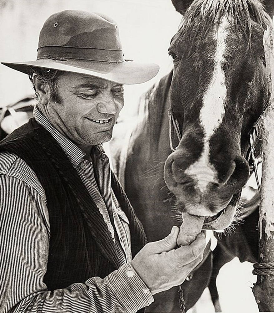 Ernest Borgnine Feeding A Horse Background