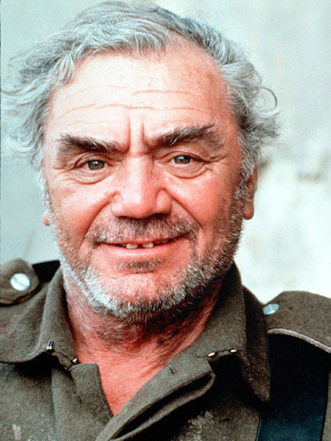 Ernest Borgnine Old Veteran Actor