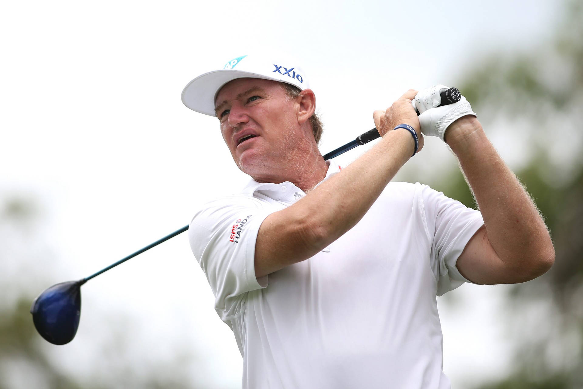 Ernie Els In White Background