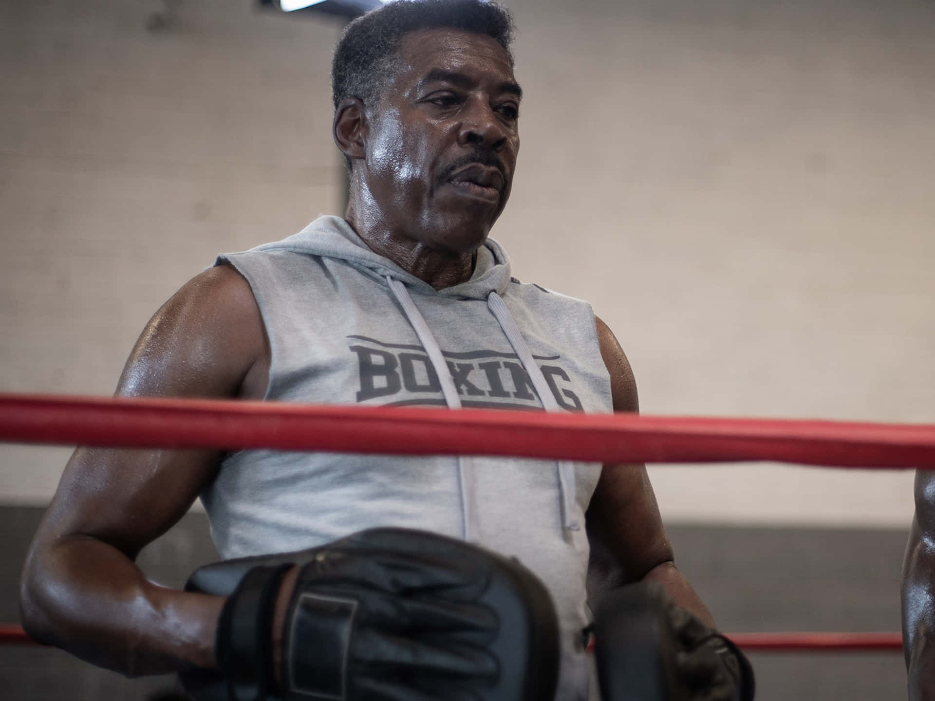 Ernie Hudson 2048 X 1536 Background