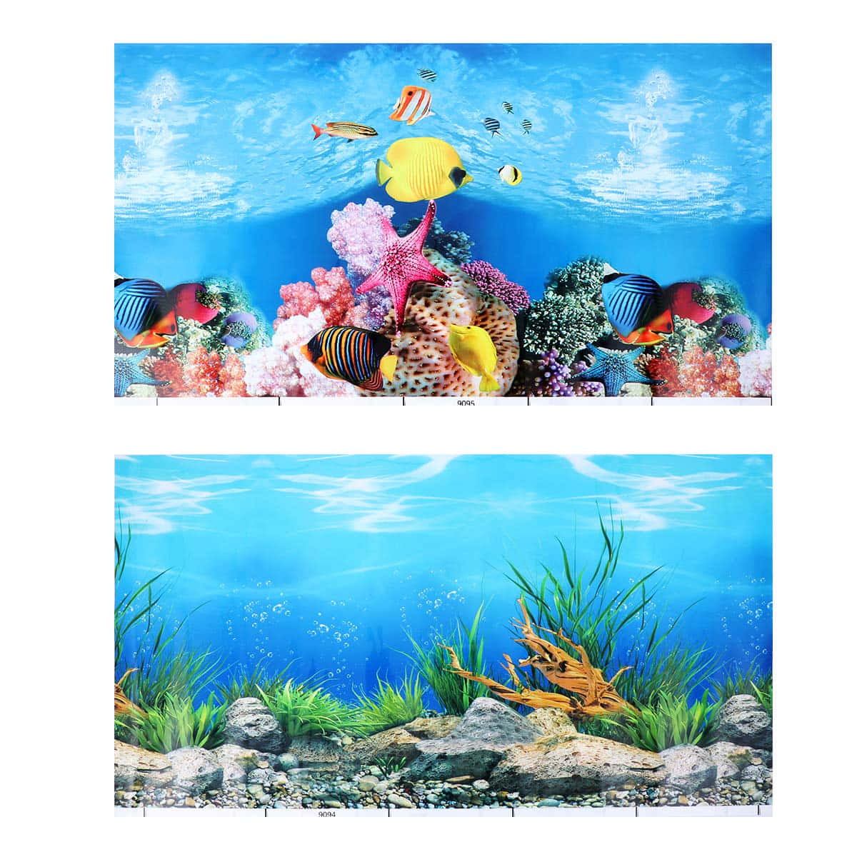 Escapism At Its Finest - Take A Dive Into The Tropical Aquarium Fish Tank Background