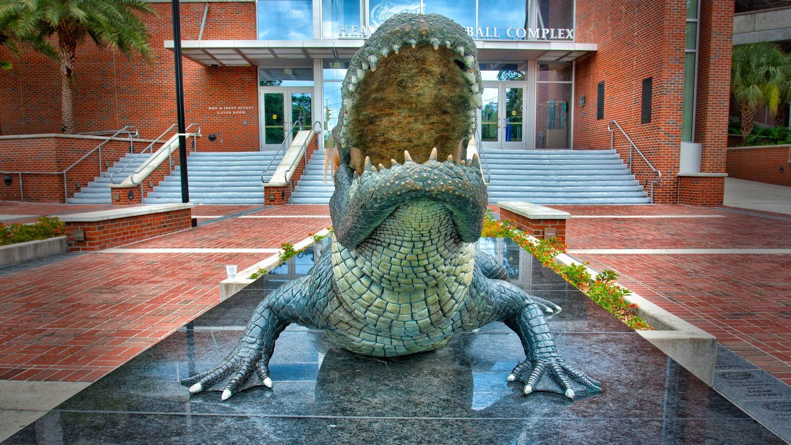 Esteemed Gator Statue At The University Of Florida Background
