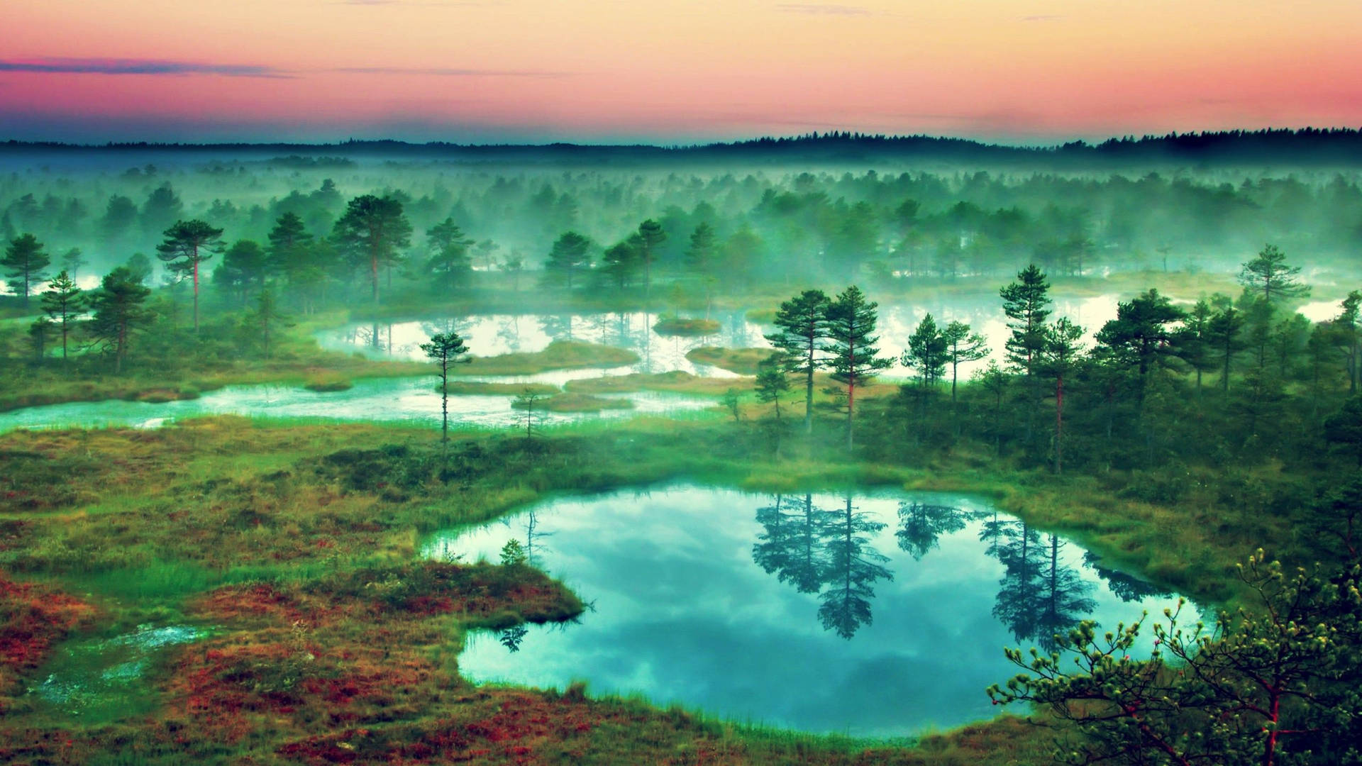 Estonia Foggy Wetlands Background