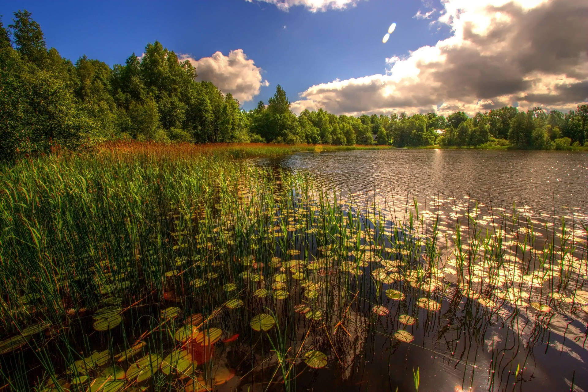 Estonia Lake Landscape Background