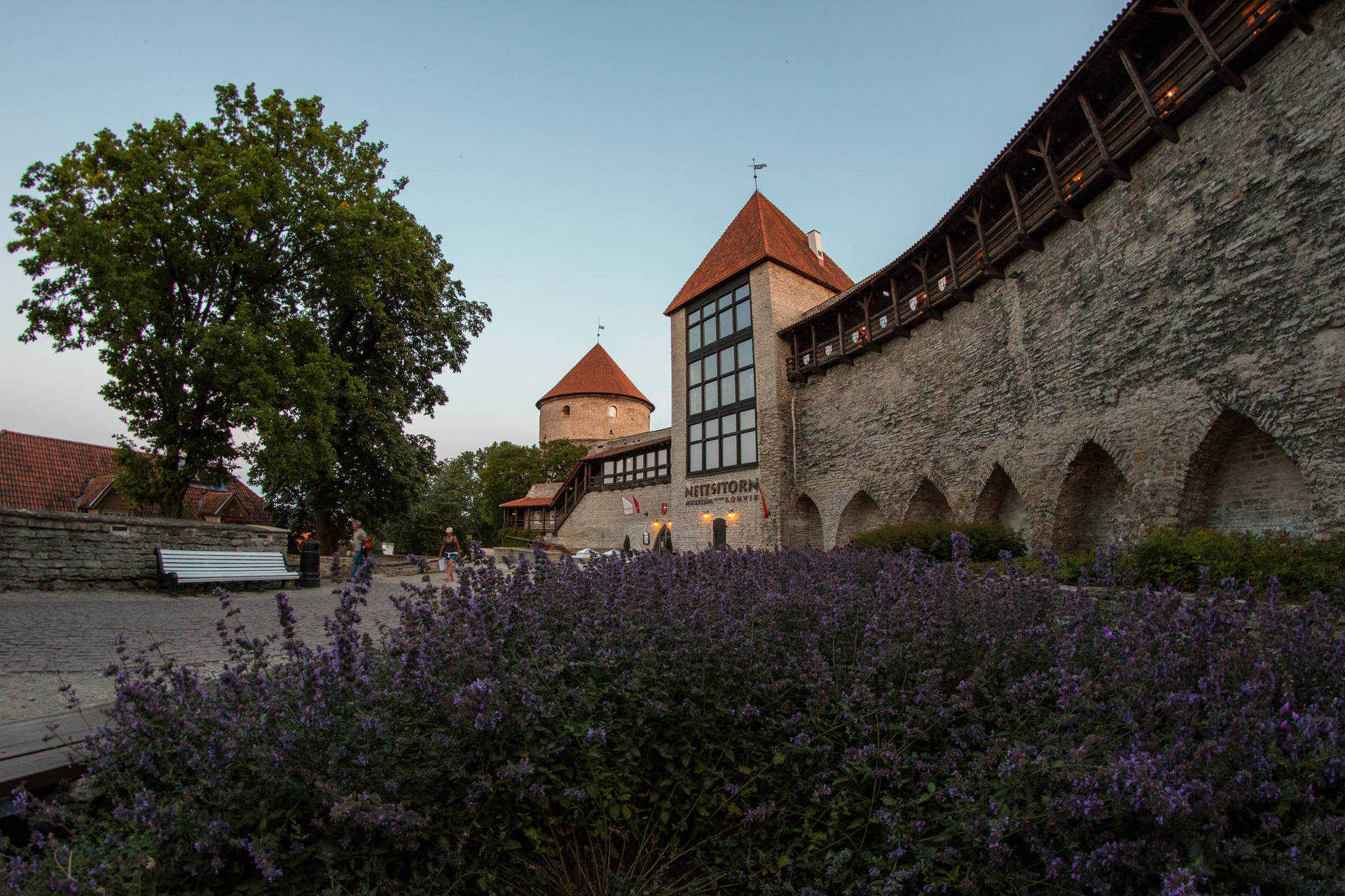 Estonia Maiden Tower Background