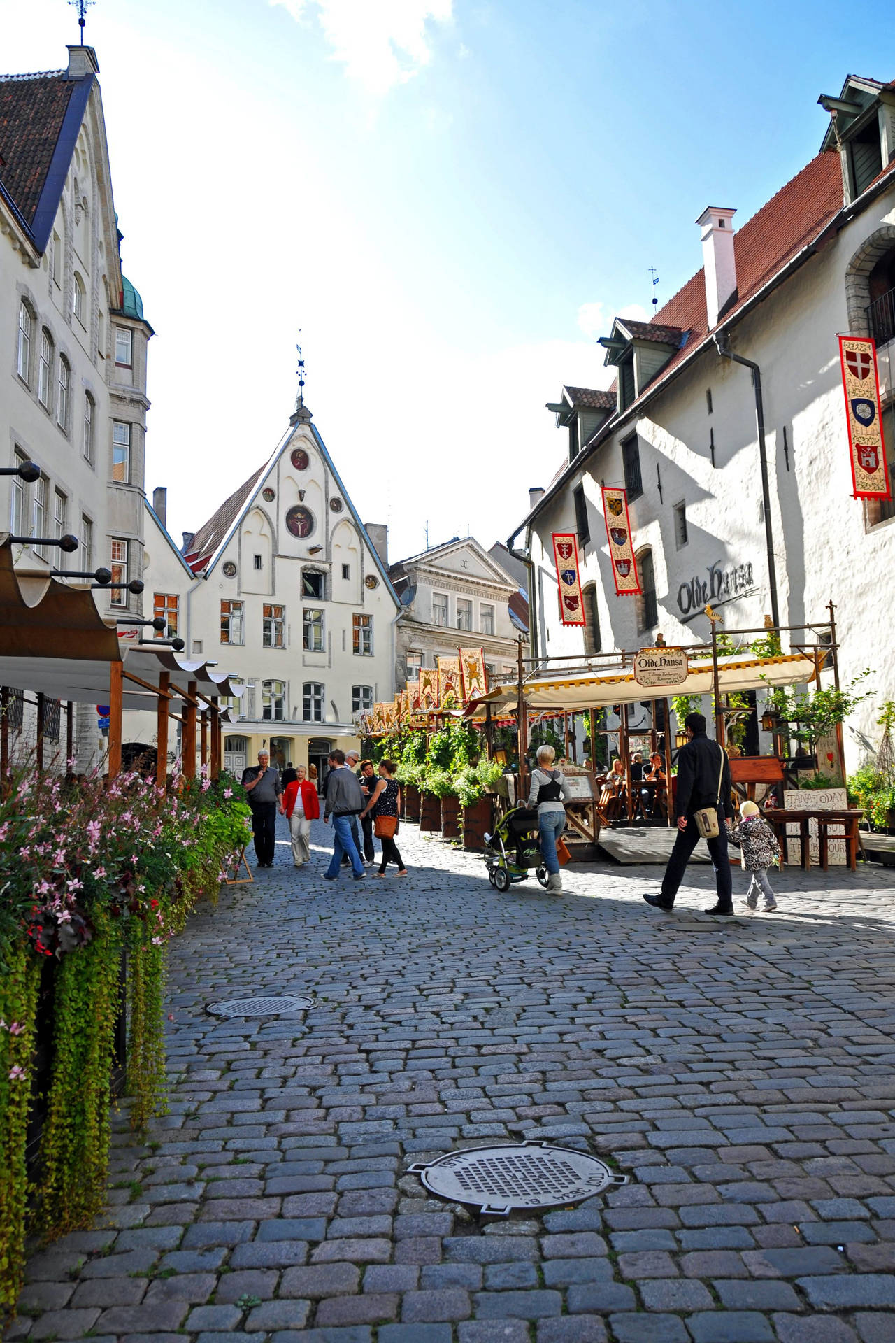 Estonia Street Of Old Tallinn Background