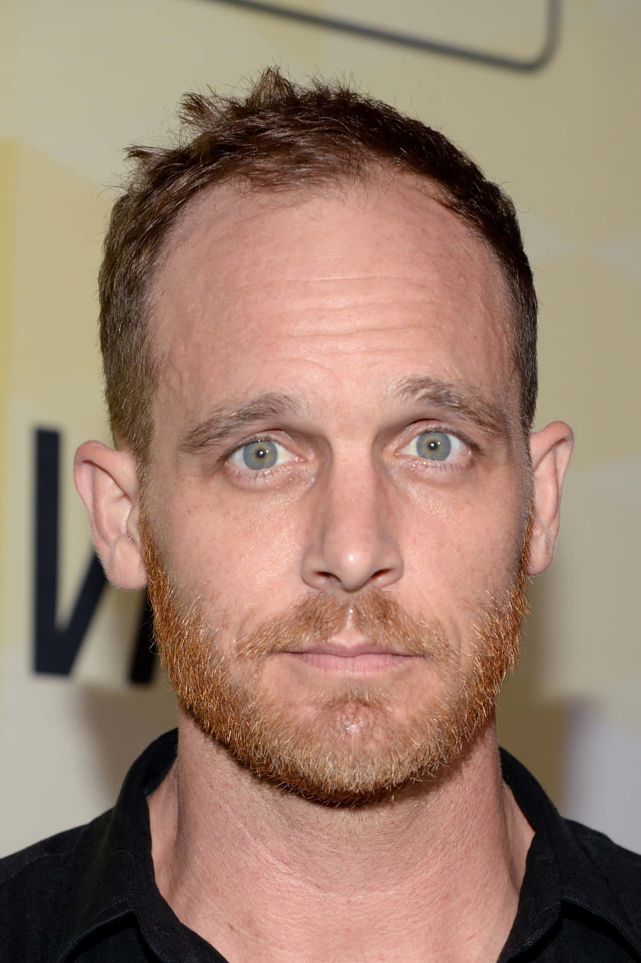 Ethan Embry 1363 X 2048 Background